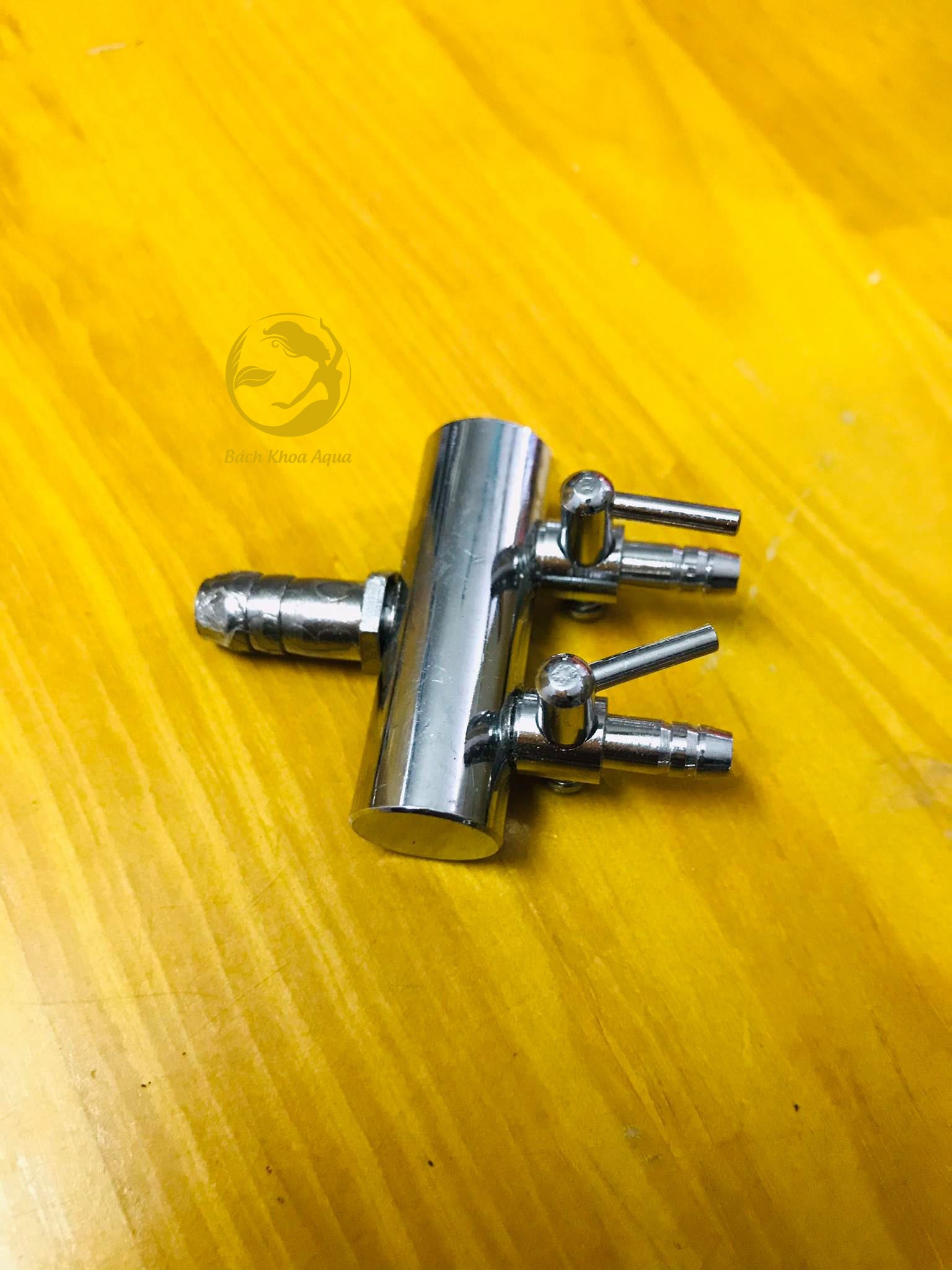 Chia sủi Inox - To